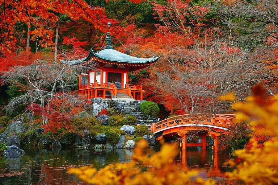 秋の紅葉