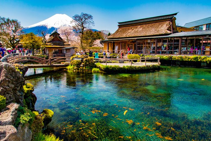 忍野八海｜富士山の麓に広がる美しい日本の原風景